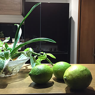 檸檬/秋/逢/観葉植物/キッチンのインテリア実例 - 2020-11-28 19:18:04