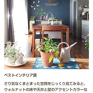 RoomClip mag/植物のある暮らし/花が好き/観葉植物/庭の花...などのインテリア実例 - 2022-05-26 10:08:56