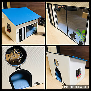 手作り猫ハウスのインテリア実例 Roomclip ルームクリップ