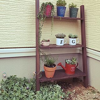 玄関/入り口/こどもと暮らす。/シンプルが好き。/多肉植物/カフェ風に憧れる。...などのインテリア実例 - 2016-10-30 16:55:31