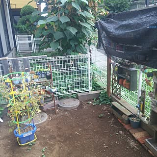 部屋全体/山善ボーダーフェンスモニター応募/賃貸アパート/多肉植物♡/廃材...などのインテリア実例 - 2017-07-18 07:09:21