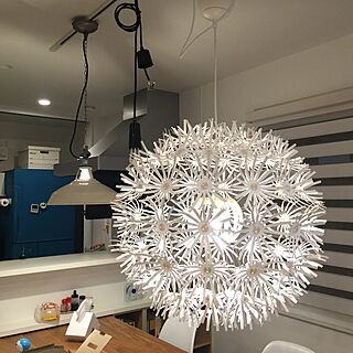 棚/照明/IKEAのインテリア実例 - 2016-01-04 21:32:57