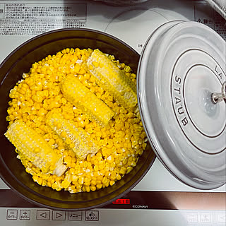 RoomClipショッピング/ストウブ ココット/STAUB/ストウブ 24㎝/ストウブ...などのインテリア実例 - 2022-07-22 22:38:47