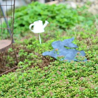 玄関/入り口/植物のある暮らし/お庭/庭の花/花のある暮らし...などのインテリア実例 - 2017-05-09 10:15:05