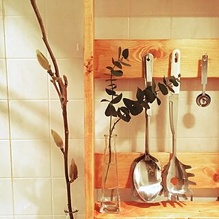 キッチン/DIY/IKEA/色数少なめ/観葉植物...などのインテリア実例 - 2017-01-09 18:09:01