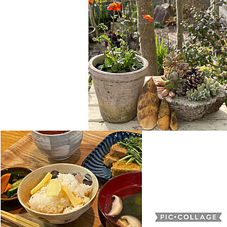 筍ごはん/nobiko飯/夜ごはん/ご近所さんに感謝/多肉植物寄せ植え...などのインテリア実例 - 2022-03-28 20:02:47