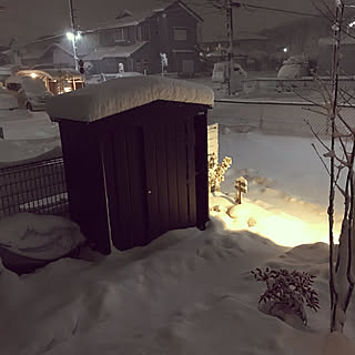 玄関/入り口/物置/マツモト物置/雪/庭...などのインテリア実例 - 2018-01-22 20:51:22