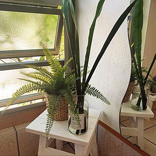 窓辺/IKEA/DIY/フェイクグリーン/観葉植物...などのインテリア実例 - 2022-05-24 22:25:22