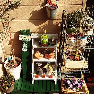 玄関/入り口/雑貨/多肉植物♪/観葉植物大好き❤︎/多肉植物♡...などのインテリア実例 - 2017-02-06 14:35:28