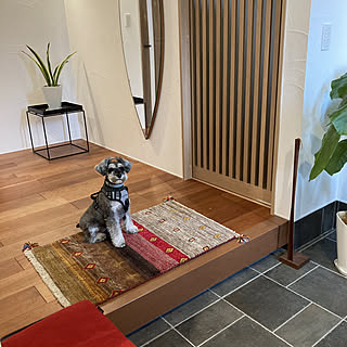 ギャッべ キリム ラグ カシュカイ族 手織りラグ 玄関マット キッチン 