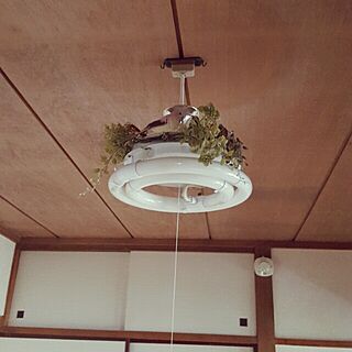 壁/天井/セリアのグリーン/フェイクグリーン/鳥のインテリア実例 - 2016-07-13 11:40:29
