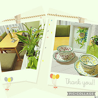 観葉植物/ナチュラルインテリア/セリアの可愛い食器/運営チームの皆様ありがとうございます！/毎月の嬉しいお知らせ♡...などのインテリア実例 - 2021-06-03 11:03:45