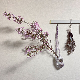 自作マクラメ/まくらめ編み/花瓶を吊るす/桜の枝/花のある暮らし...などのインテリア実例 - 2021-03-31 19:05:51