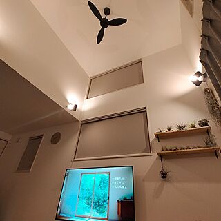 壁/天井/高天井のインテリア実例 - 2023-03-31 20:16:13
