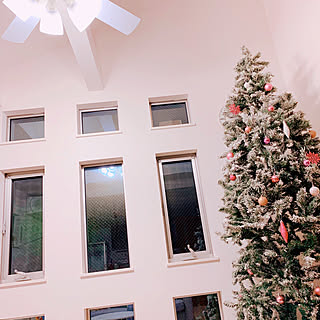 クリスマス/クリスマスツリー210㎝/クリスマスツリー/Francfranc/ニトリ...などのインテリア実例 - 2019-11-12 08:12:57