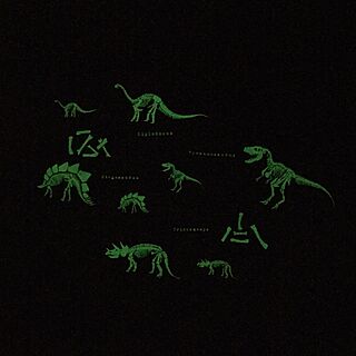 壁/天井/壁紙/walpa/ルームスタイリスト/恐竜のインテリア実例 - 2016-02-01 18:25:22
