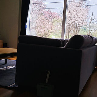 リビング/窓からの景色/桜並木のインテリア実例 - 2020-05-04 18:36:45