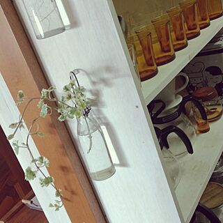 キッチン/DIY/セリア/グレコマのインテリア実例 - 2014-04-14 10:37:34