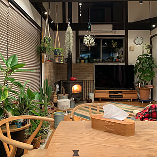 吊るす植物のインテリア実例 Roomclip ルームクリップ