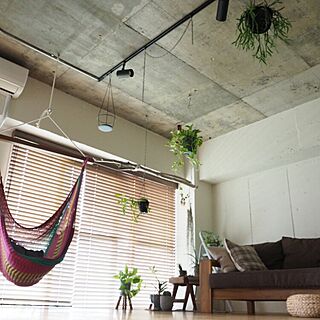 壁/天井/indoor green/リノベーション/チェアハンモック/流木のインテリア実例 - 2015-09-06 11:48:17