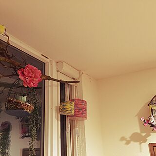 玄関/入り口/造花/鳥かご/rice/塗り壁のインテリア実例 - 2015-01-30 21:43:06