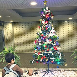 部屋全体/クリスマスツリー♪/マンションのロビーのインテリア実例 - 2016-12-01 20:17:42