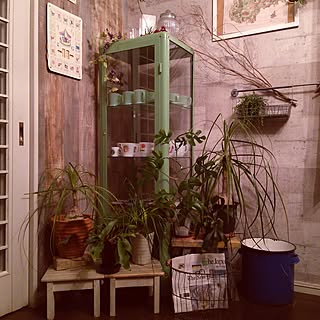 植物/日替わり投稿企画!木曜日/フェイク植物/男前雑貨/IKEA...などのインテリア実例 - 2017-05-19 19:42:57