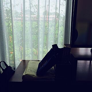 リビング/電車/田んぼ/窓越しの眺めが好きです(*´艸`)/レースカーテンのインテリア実例 - 2017-07-16 12:41:10