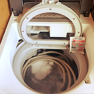 洗濯乾燥機（縦型）/洗浄力/エステー/すっきり暮らす/掃除...などのインテリア実例 - 2021-11-18 14:04:21