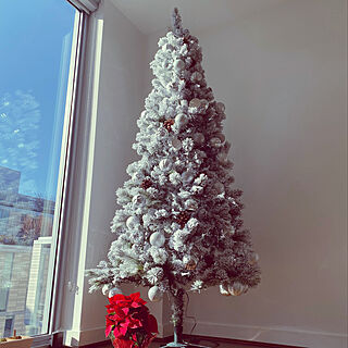 クリスマス/北欧/christmas tree/IKEA/リビングのインテリア実例 - 2020-11-24 15:45:24