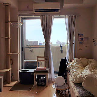 部屋全体/６畳1K/20m2/ナチュラル/マグネット...などのインテリア実例 - 2022-06-19 13:01:59