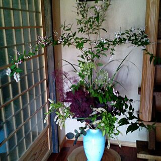 玄関/入り口/ピラミッド紫陽花/庭の花いけました/スモークツリーのインテリア実例 - 2016-05-18 11:31:27