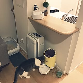 キッチン/カウンター下/空気清浄機/猫トイレ/ルスモ...などのインテリア実例 - 2017-01-27 04:16:58