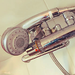 ディズニーホテルふう 節水シャワーヘッドのインテリア実例 Roomclip ルームクリップ