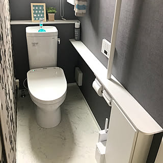 トイレの壁紙/スプレー缶カバーはペットボトルカバー/写真たて/フェイクグリーン/トイレブラシとゴミ箱...などのインテリア実例 - 2018-04-25 10:51:43