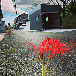 玄関/入り口/彼岸花と小僧/彼岸花と我が家/彼岸花/バイクガレージ...などのインテリア実例 - 2023-10-05 12:17:21