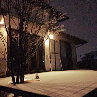 雪/山法師/ライト/ライトアップ/カエル...などのインテリア実例 - 2022-02-10 18:59:22