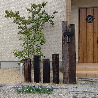 玄関/入り口/花のある暮らし/こどものいる暮らし/球根の寄せ植え/球根のある暮らし...などのインテリア実例 - 2020-03-30 15:33:31