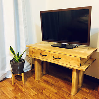 やっと植え替えしたよ/サンスベリア/テレビボードDIY/セリア/テレビボード...などのインテリア実例 - 2019-05-09 20:43:10