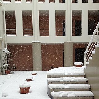 玄関/入り口/snowly/Snow/中庭のインテリア実例 - 2014-02-13 12:54:30