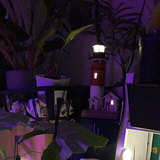 植物と灯台の雑貨/机のインテリア実例 - 2021-03-02 22:47:57