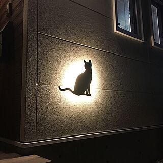 玄関/入り口/猫の照明のインテリア実例 - 2015-12-18 17:10:40