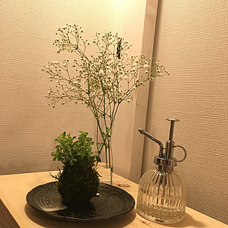 たなばた飾り/たなDIY/苔玉/かすみ草/ナチュラル...などのインテリア実例 - 2019-07-07 19:35:04