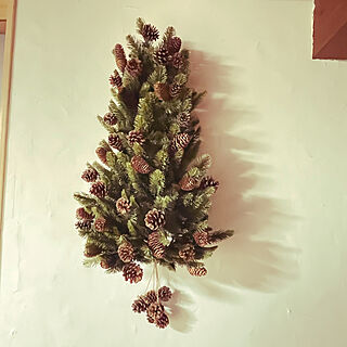 ハンギングツリー/ハーフクリスマスツリー/クリスマス/リビングのインテリア実例 - 2022-12-03 21:08:26