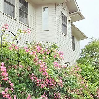 玄関/入り口/植物/花のある暮らし/薔薇が好き/庭...などのインテリア実例 - 2016-05-26 06:26:58