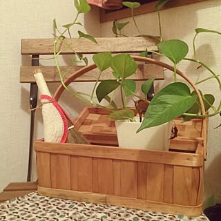 玄関/入り口/北欧/観葉植物/植物/100均...などのインテリア実例 - 2014-10-18 21:08:16