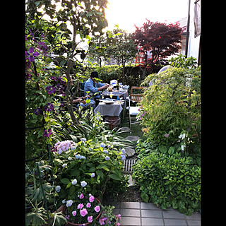 紫陽花/好きな物に囲まれて/初夏の庭/食卓の花/灯りのある暮らし...などのインテリア実例 - 2020-05-30 14:51:29