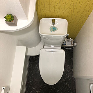 狭い部屋/トイレのインテリア/バス/トイレのインテリア実例 - 2020-11-29 20:32:20