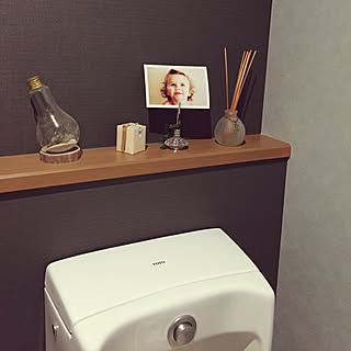 トイレのディスプレイ/電球テラリウム/トイレですみません/ナチュラル/バス/トイレのインテリア実例 - 2016-01-26 20:20:25