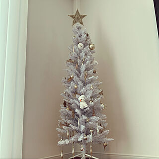 ホワイトツリー/クリスマスツリー150cm/クリスマスツリー/注文住宅/リビングのインテリア実例 - 2022-12-10 10:53:44